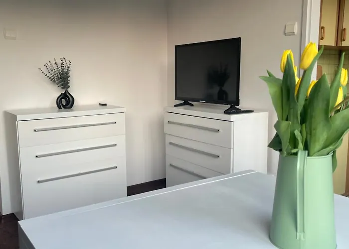 Green Apartament