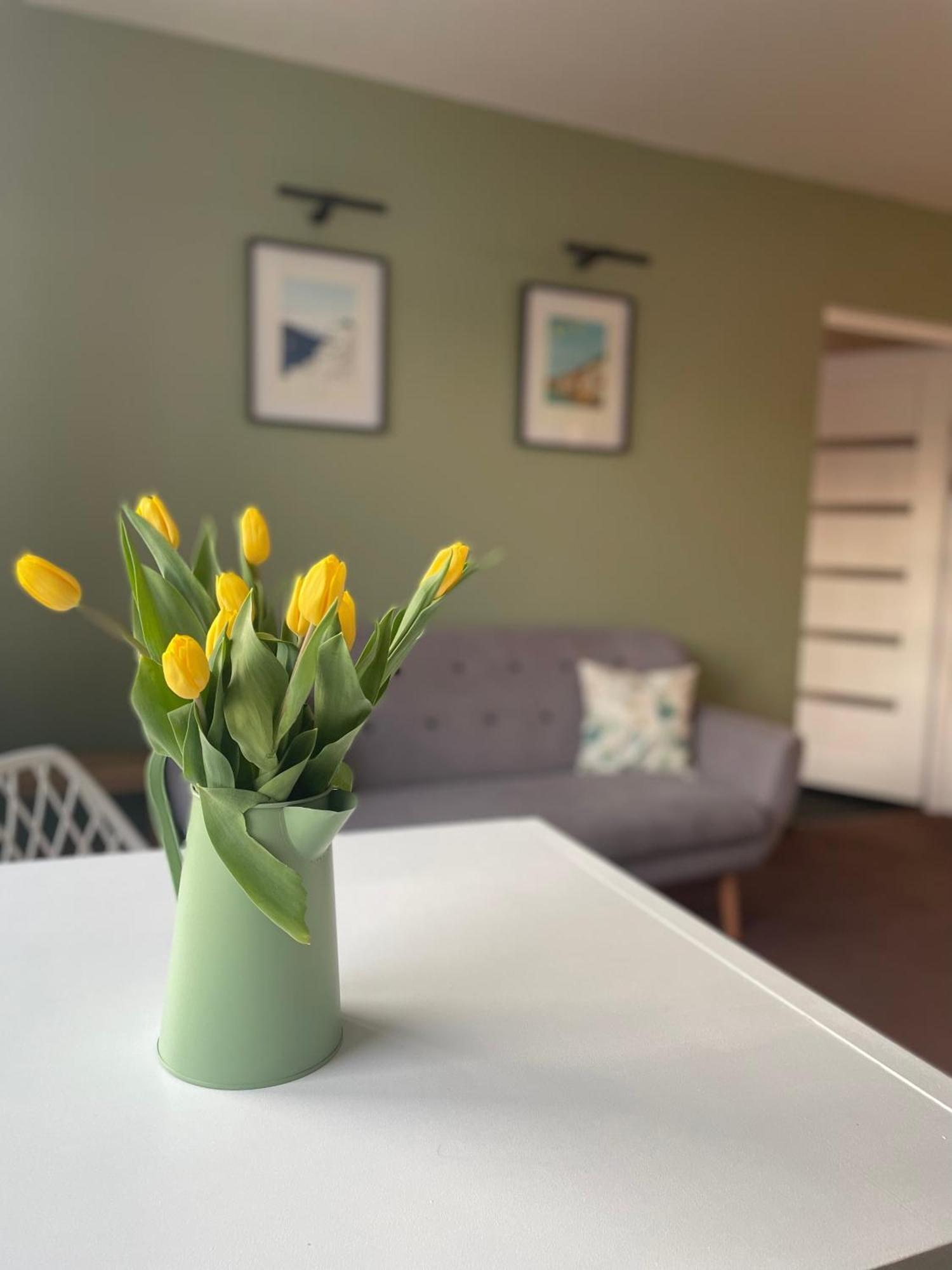 Green Apartament Apartment